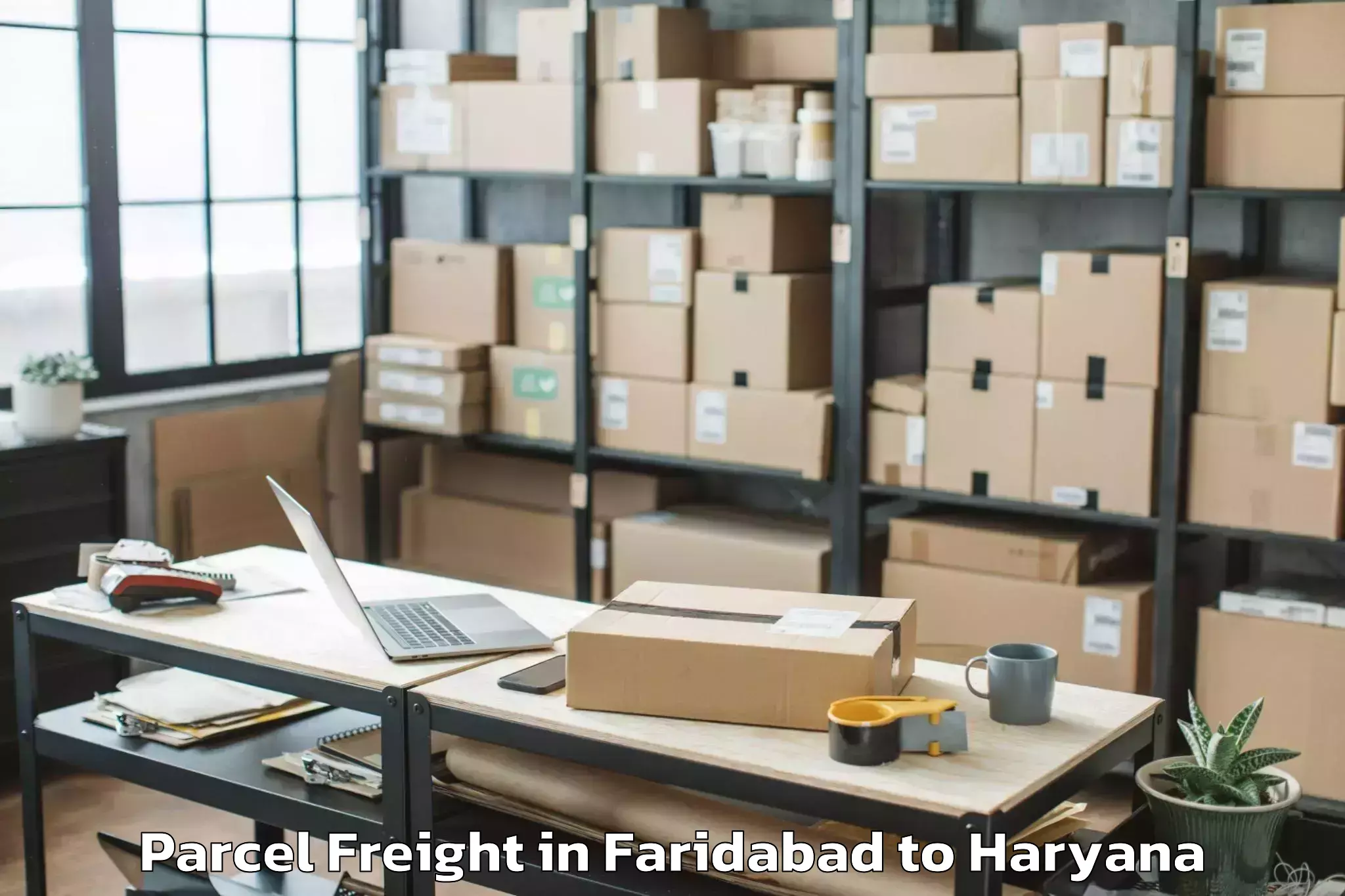 Top Faridabad to Khewra Parcel Freight Available